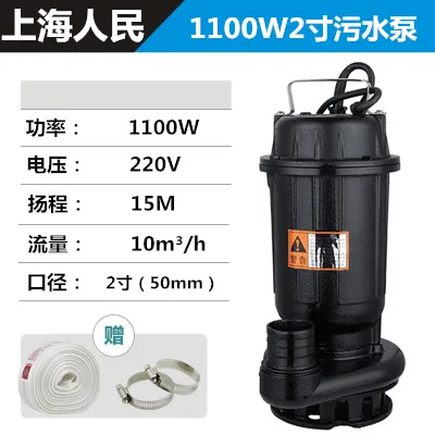 威士1100W 2寸口径 220V 污水排污泵（个） - 玖梧精选
