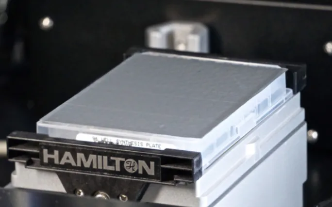 Hamilton Heater Shaker （箱） - 玖梧精选