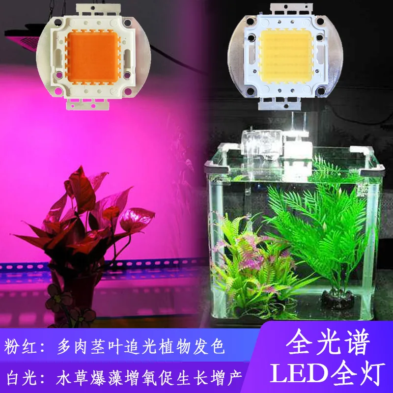新星源100W+全光谱白光375-750光源芯片（个） - 玖梧精选
