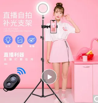 徕兹 三脚架 210cm支架+手机夹+蓝牙遥控器+16cm补光灯 （个） - 玖梧精选