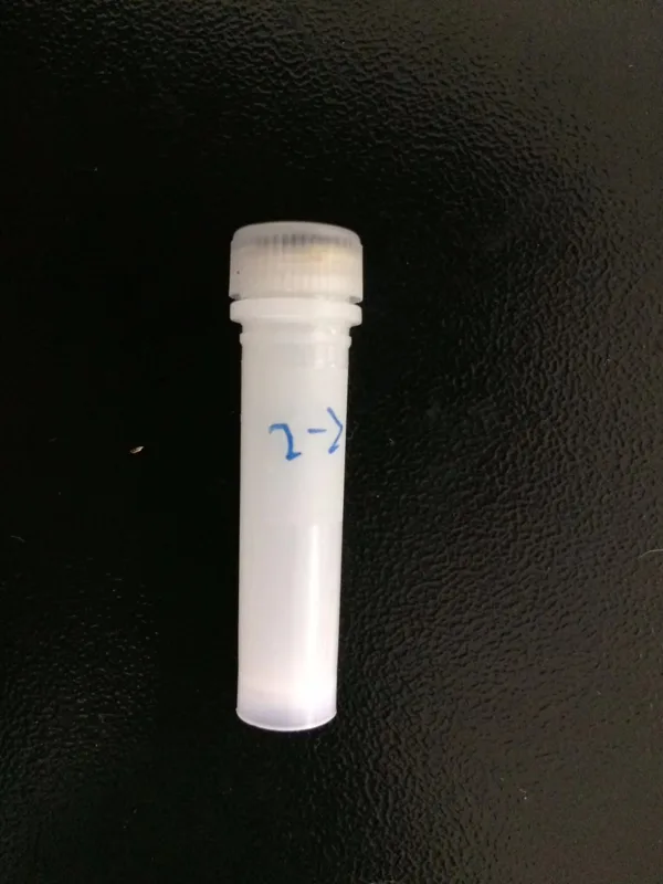 Omni Ruptor 2ml管含2.8mm陶瓷珠19-628（盒）50支 - 玖梧精选