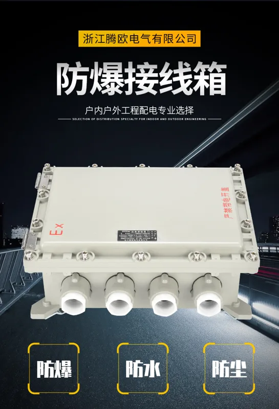 BXJ防爆配电箱接线箱200*200*120mm（个） - 玖梧精选