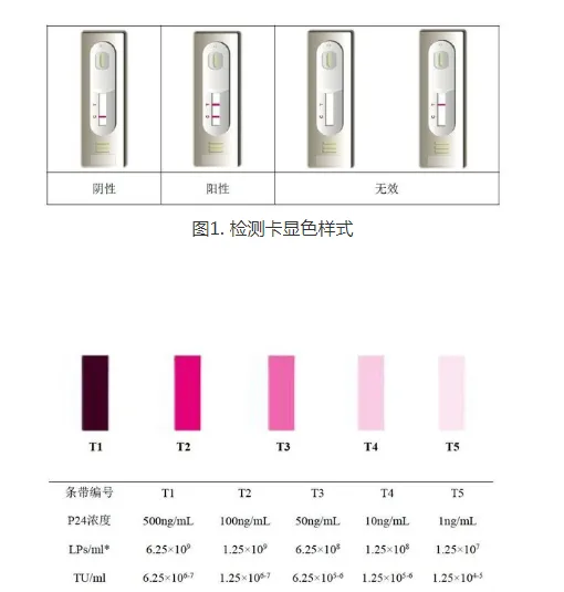 北京博奥龙BF06202-10慢病毒滴度快速检测卡（包） - 玖梧精选