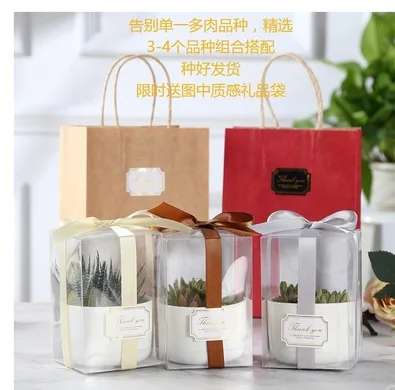 定制版桌面盆栽（个） - 玖梧精选