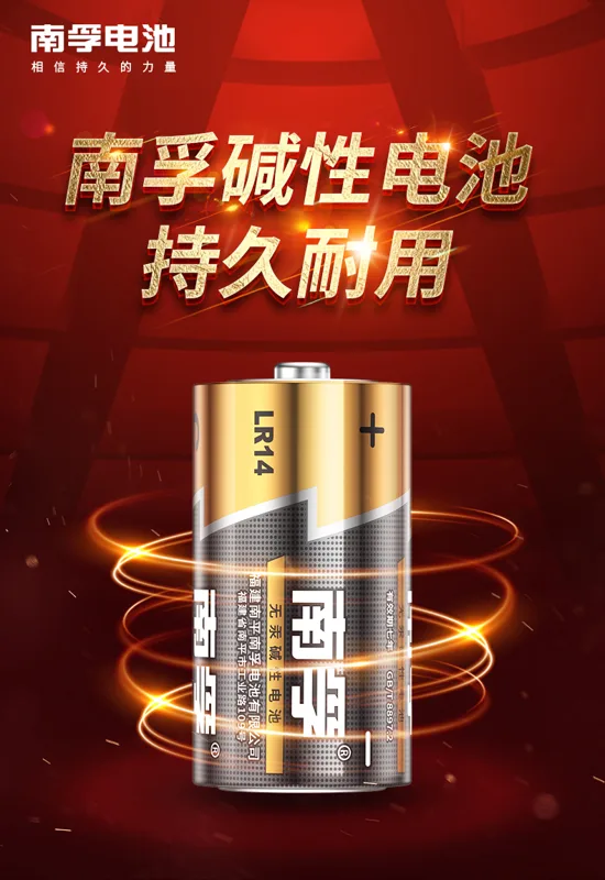 南孚碱性电池2号10节（组） - 玖梧精选