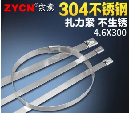 宗意304不锈钢扎带4.6*300 100条/包（包） - 玖梧精选