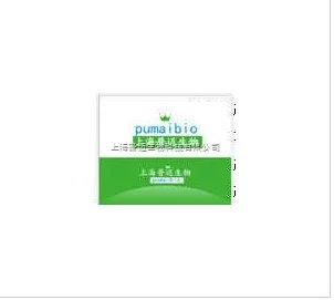 普迈生物 大鼠一次性塑料灌胃针 250支/盒 - 玖梧精选