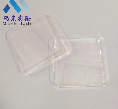 一次性无菌方培养皿13cm*13cm（300个/箱） - 玖梧精选