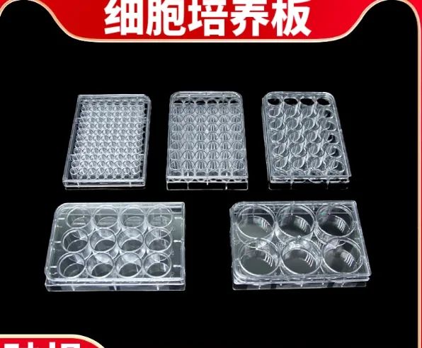 伟诚实验96孔细菌培养板&100个独立装96孔平底培养板100个整箱 - 伟诚实验