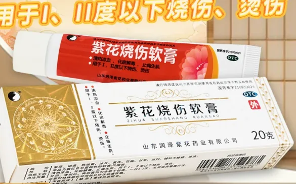 天尊紫花烧伤软膏 20g*1支/盒 - 紫花