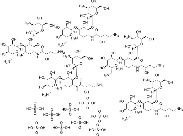 AMIKACIN READY MADE SOLUTION