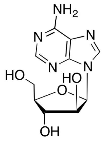 腺嘌呤9-β-ᴅ-阿拉伯呋喃糖苷(存储 “-20℃”；运输 “干冰”)