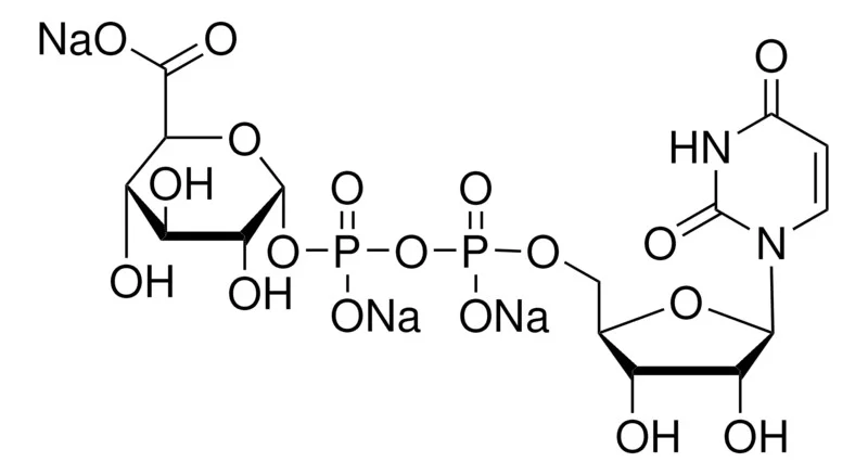 尿苷 5′-二磷酸葡萄糖醛酸 三钠盐(存储 “-20℃”；运输 “干冰”)