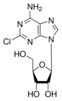 2-氯腺嘌呤核苷(储存“2-8℃”;运输“冰袋”)