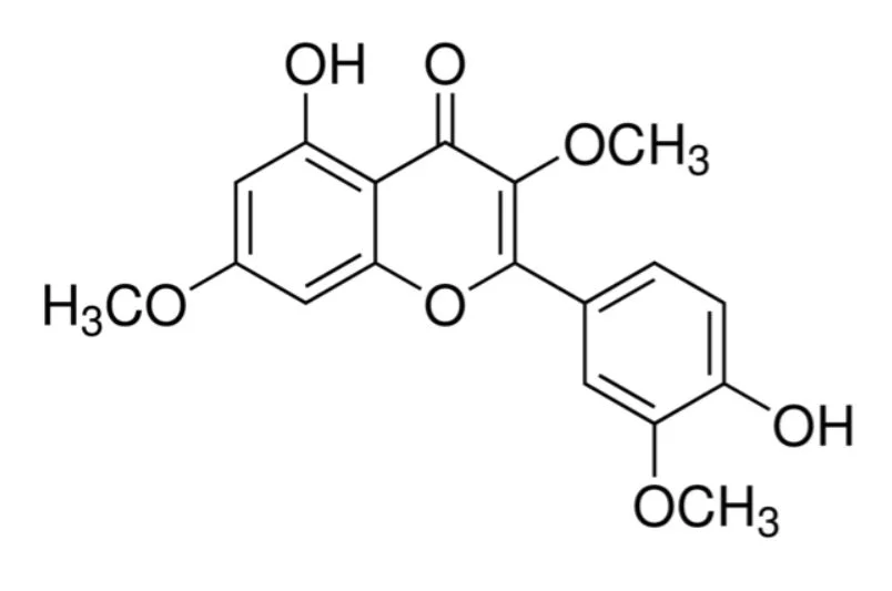 试剂PACHYPODOL(储存“-20℃”;运输“冰袋”)
