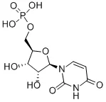尿苷5-单磷酸(存储 “-20℃”;运输 “干冰”)