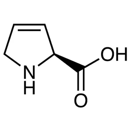 3,4-脱氢-L-脯氨酸