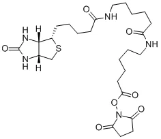 生物氨基己酰基-6-氨基己酸N-羟基琥珀酰亚胺酯(存储 “-20℃”;运输 “干冰”)
