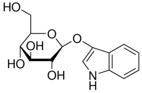 3-吲哚基-BETA-D-吡喃葡萄糖苷(储存“-20℃”;运输“干冰”)
