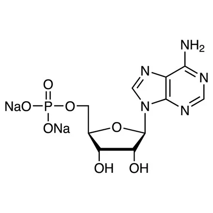 腺苷 5'-单磷酸 二钠盐