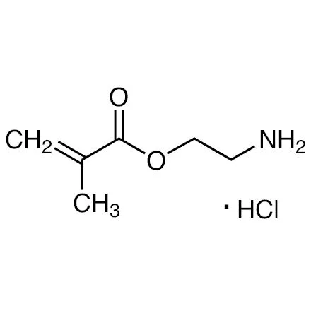 甲基丙烯酸2-氨基乙酯盐酸盐（储存“2-8℃，避光”；运输“冰袋”） - 沃凯