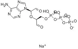 高碘酸氧化腺苷 5′-三磷酸 钠盐(存储 “-20℃”;运输 “干冰”)