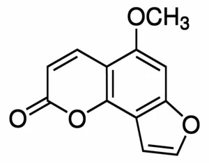 试剂ISOBERGAPTEN(存储 “2-8℃”;运输 “冰袋”)