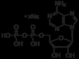 5'-二磷酸腺苷钠盐（储存“-20℃，避光”；运输“干冰”）