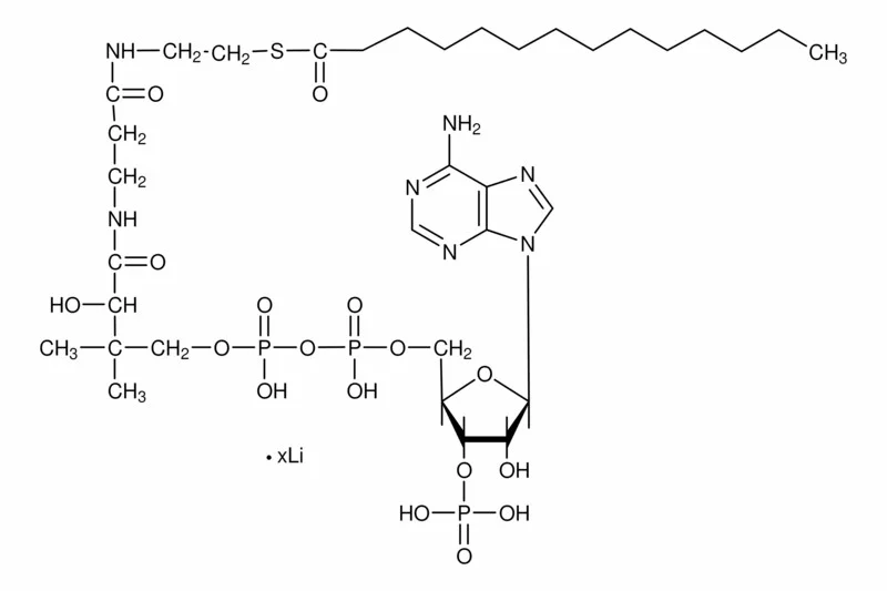 肉豆蔻酰辅酶A 锂盐(存储 “-20℃”;运输 “干冰”)