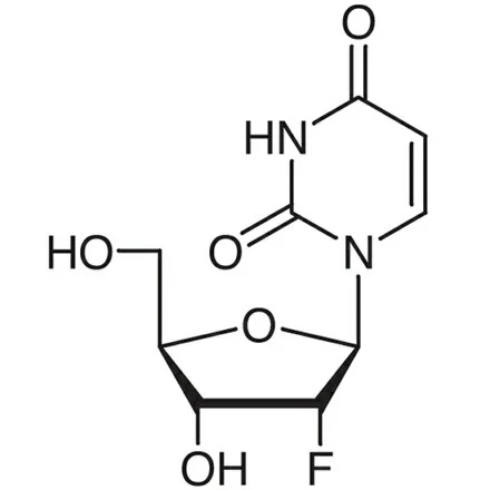 2’’-氟-2’’-脱氧尿苷(储存“2-8℃”;运输“冰袋”)