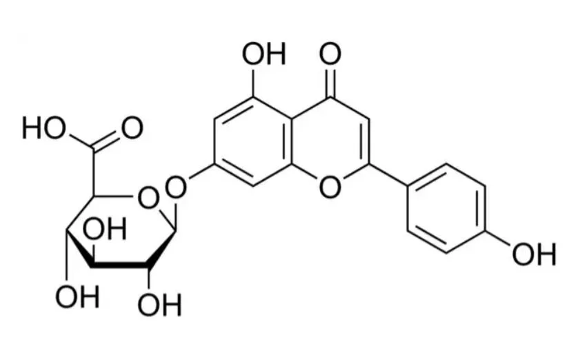 芹菜素7-葡萄糖醛酸苷