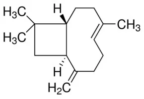 Β-石竹烯（储存“2-8℃”；运输“冰袋”）