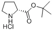 D-脯氨酸叔丁基酯盐酸盐（储存“2-8℃”；运输“冰袋”） - 沃凯