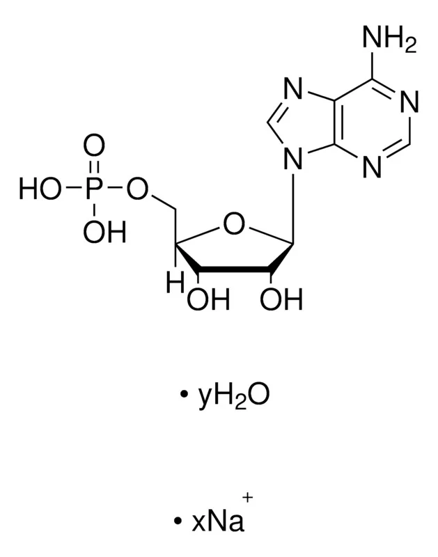 腺苷5'-单磷酸钠盐