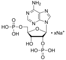 试剂ADENOSINE 2′,5′-DIPHOSPHATE SODIUM SALT(存储 “-20℃”;运输 “干冰”)