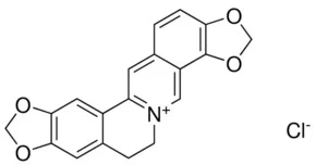 盐酸黄连碱(储存“2-8℃”；运输“冰袋”）