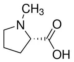 N-甲基-D-脯氨酸 - 沃凯
