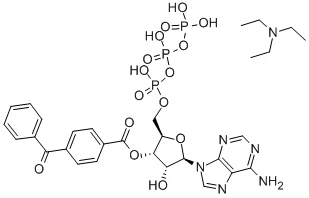 2′(3′)-O-(4-苯甲酰苯甲酰)腺苷5′-三磷酸 三乙铵盐(存储 “-20℃”;运输 “干冰”)