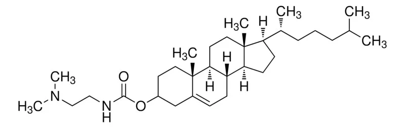 脂质类3Β[N-(N`,N`-DIMETHYLAMINOETHANE)-CARBAMOYL]CHOLESTEROL（储存