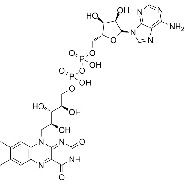 试剂FLAVIN ADENINE DINUCLEOTIDE(储存“-20℃”;运输“冰袋”)