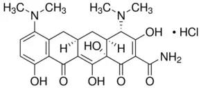 二甲胺四环素盐酸盐