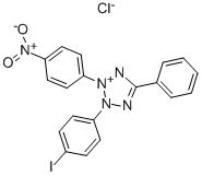 碘硝基四唑紫(储存“2-8℃,避光”;运输“冰袋”)