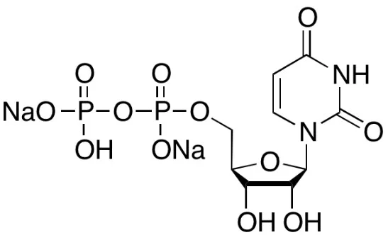 尿苷-5’-二磷酸 二钠盐 水合物(储存“-20℃”;运输“干冰”)