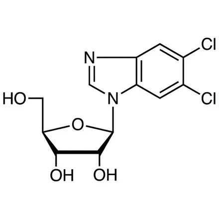 5,6-二氯苯并咪唑 核糖甙,98%(储存“-20℃”;运输“干冰”)