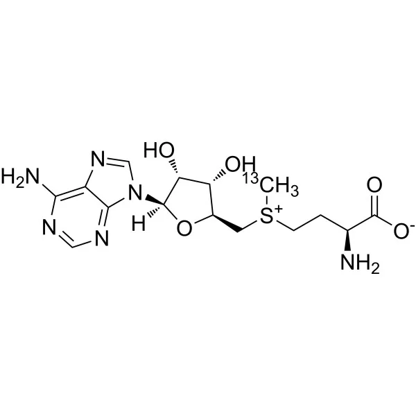 S-(5’-腺苷)-L-甲硫氨酸-(S-甲基-¹³C)氯盐