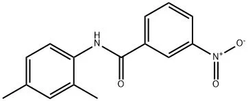 3-NITROBENZO-2',4'-XYLIDIDE - 50 MG
