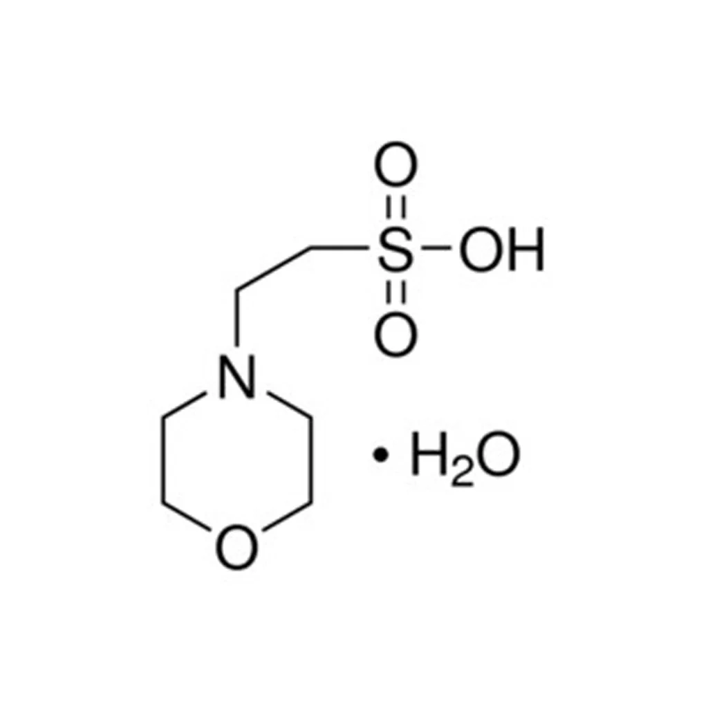 2-（N-吗啉）乙烷磺酸，一水