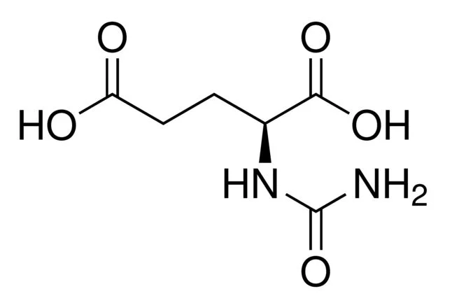 N-氨基甲酰-L-谷氨酸(储存“2-8℃”;运输“冰袋”)