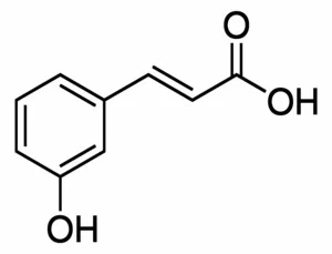 间羟基肉桂酸,主要为反式