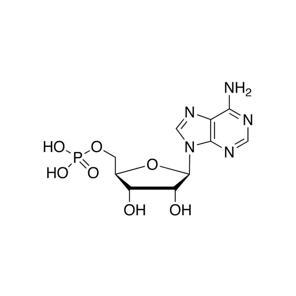 腺苷-5'-单磷酸, 99% (DRY WT.), 水 <6%(储存“2-8℃”;运输“冰袋”)
